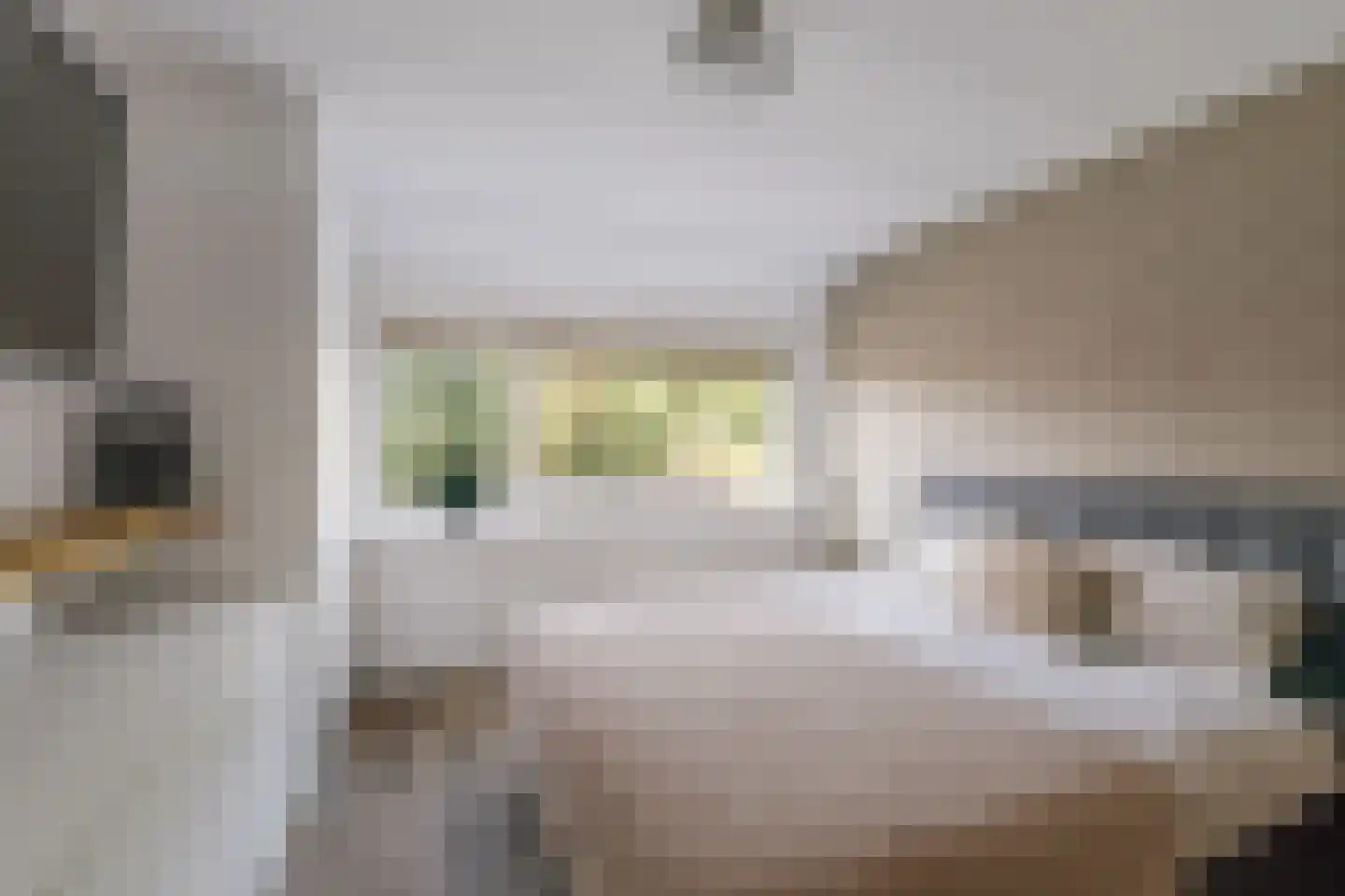 Amer 6 Apeldoorn thumbnail 18