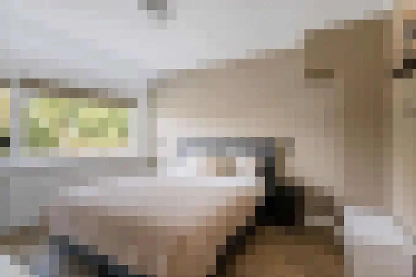 Amer 6 Apeldoorn thumbnail 19
