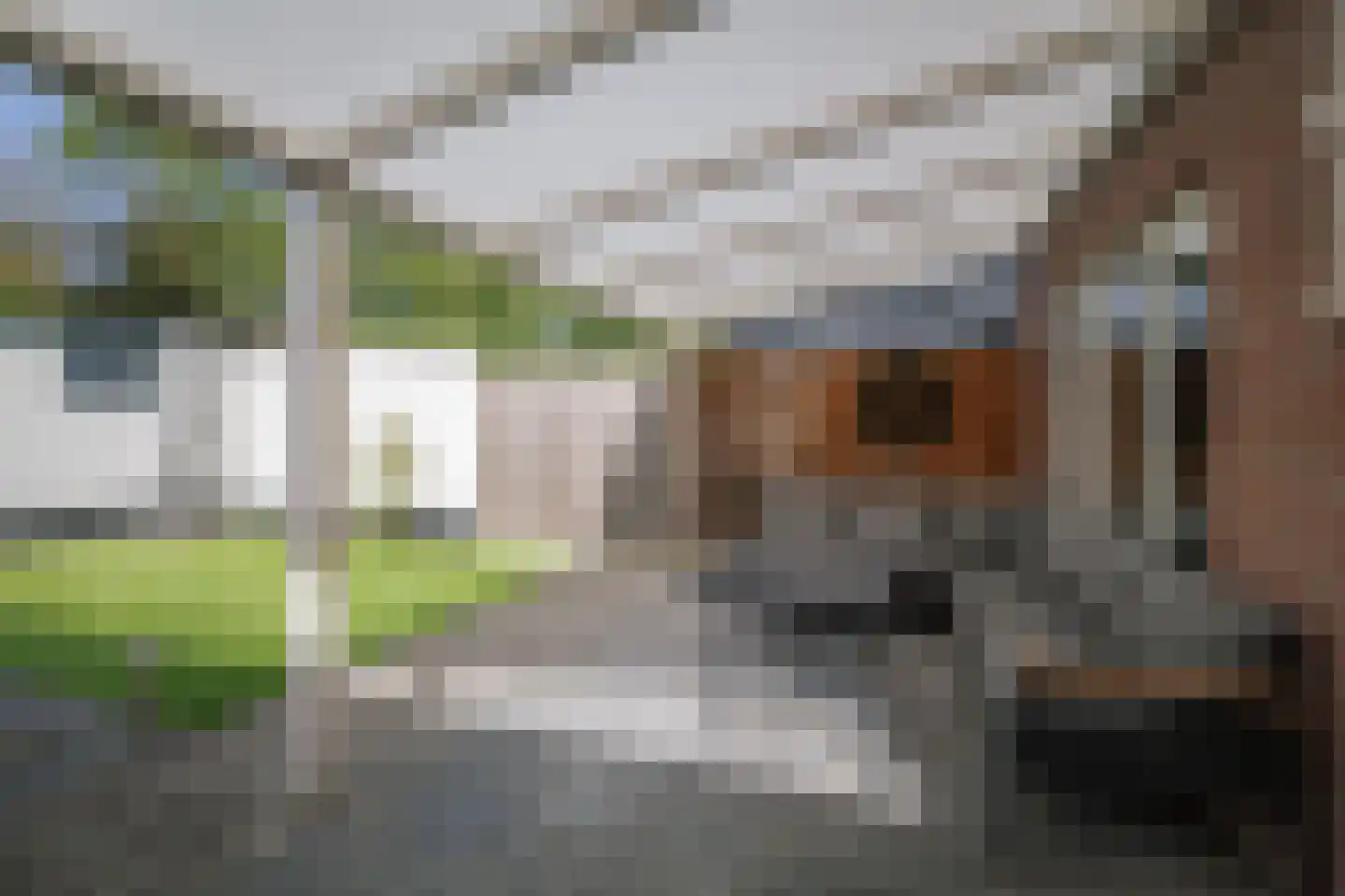 Amer 6 Apeldoorn thumbnail 29