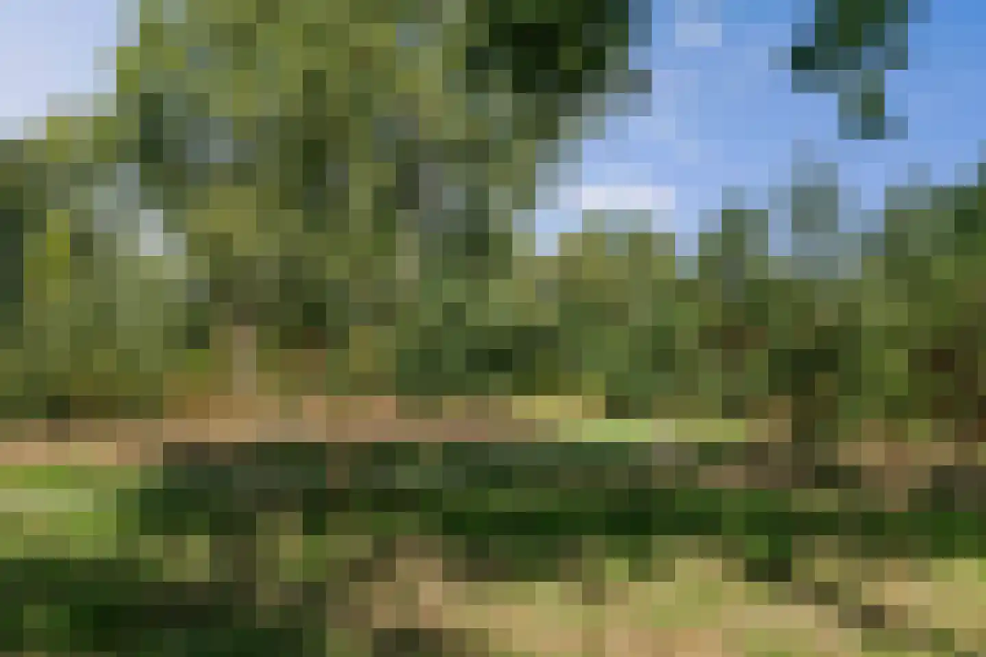 Amer 6 Apeldoorn thumbnail 36