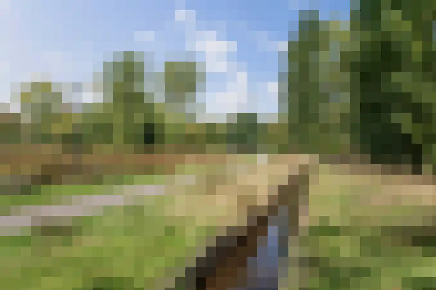 Amer 6 Apeldoorn thumbnail 38