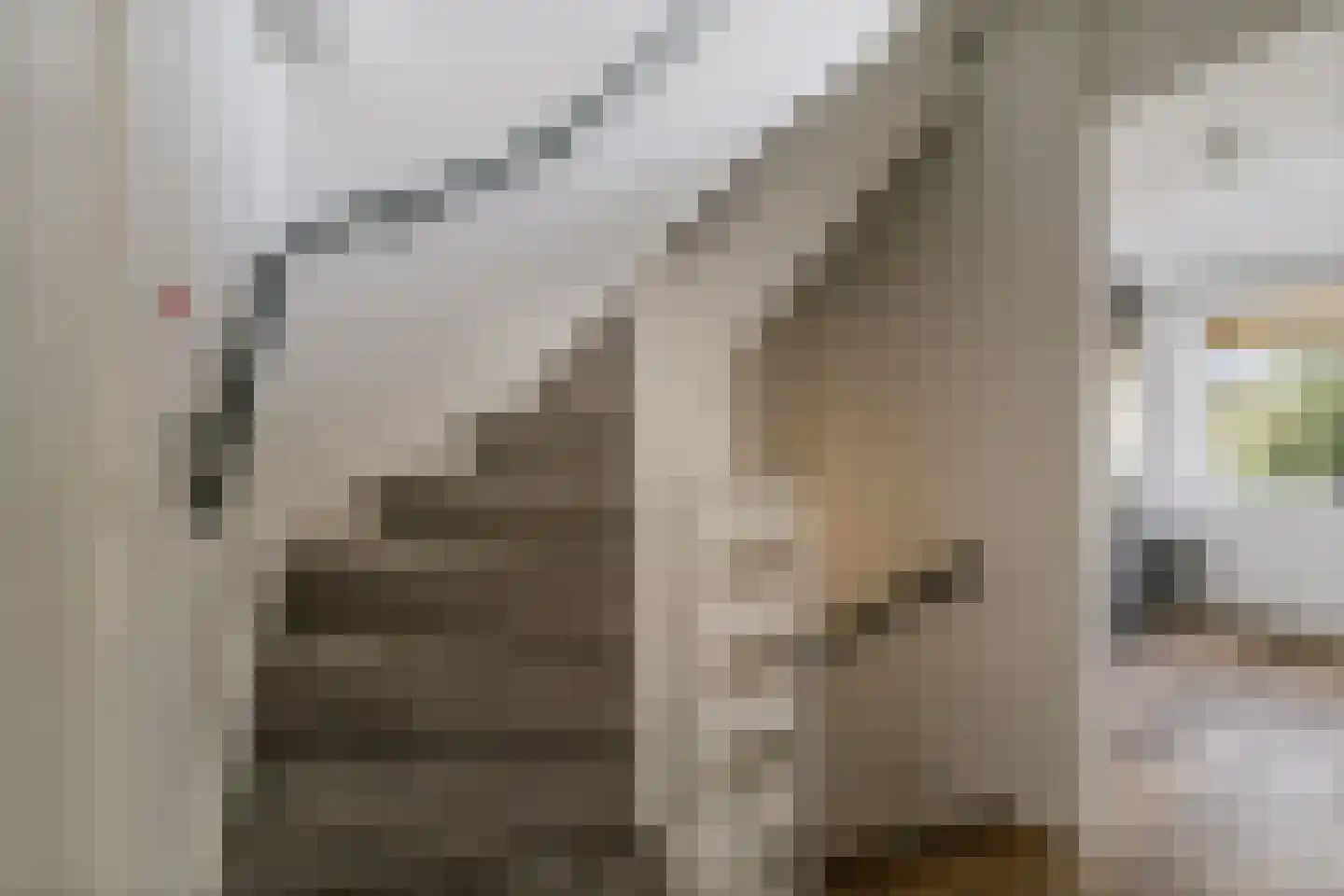 Amer 6 Apeldoorn thumbnail 9