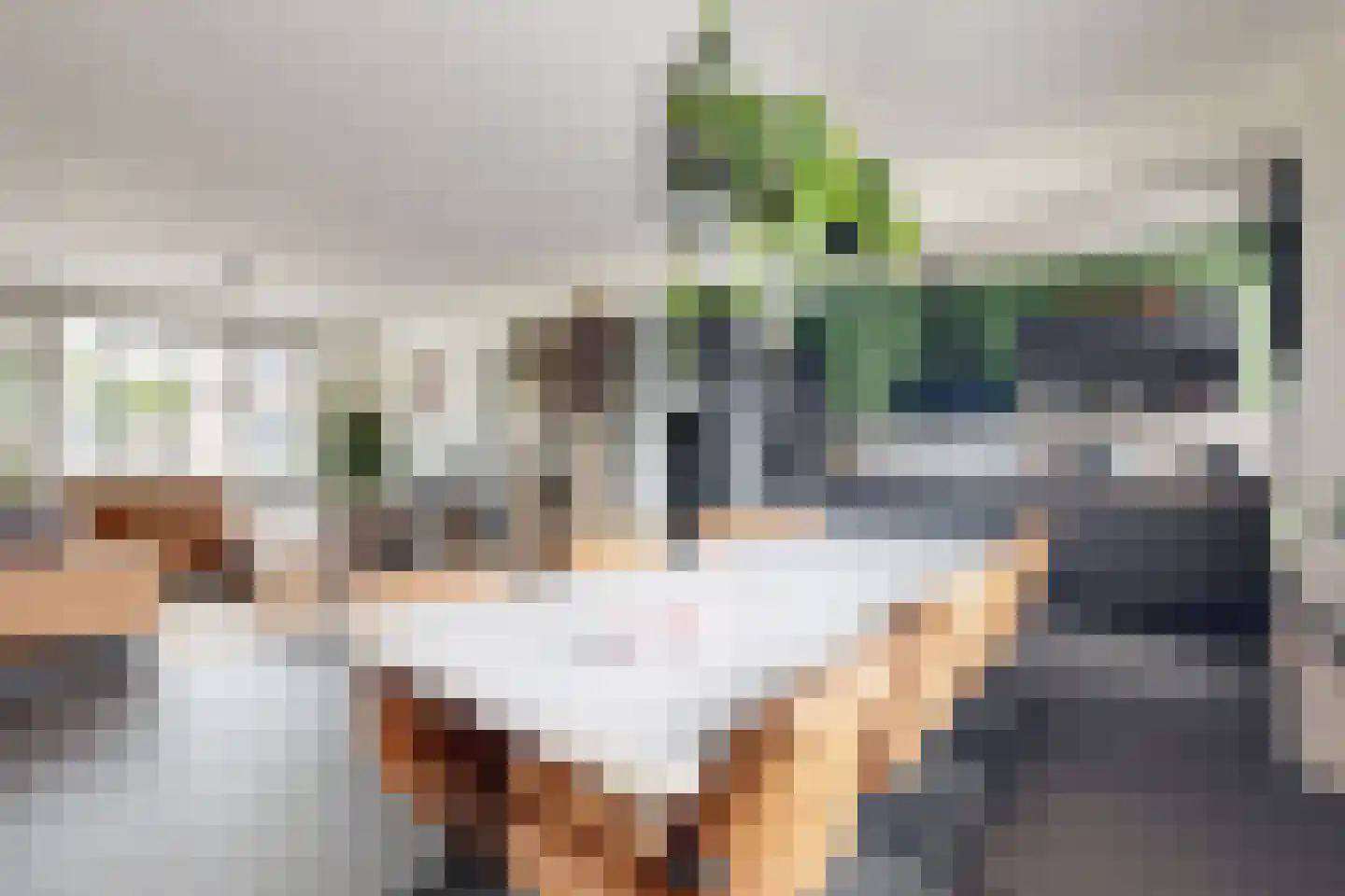Amer 7 Zevenbergen thumbnail 19