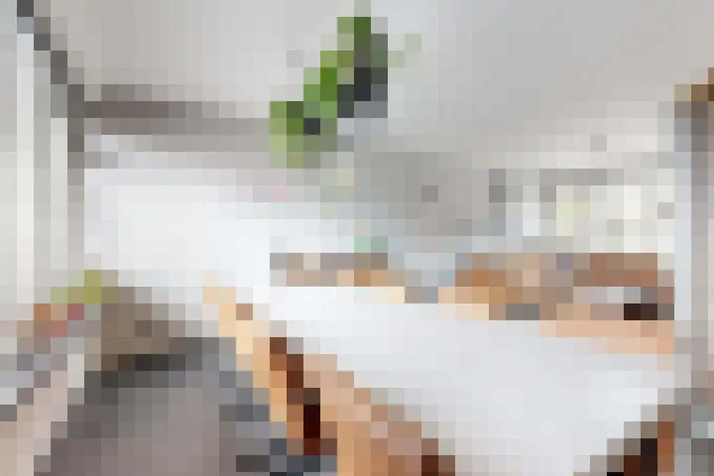 Amer 7 Zevenbergen thumbnail 20