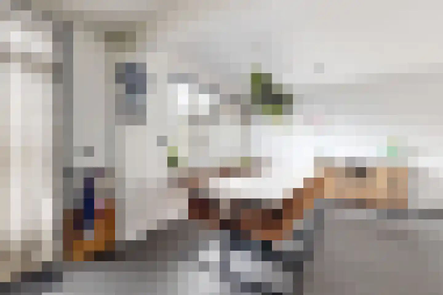 Amer 7 Zevenbergen thumbnail 21