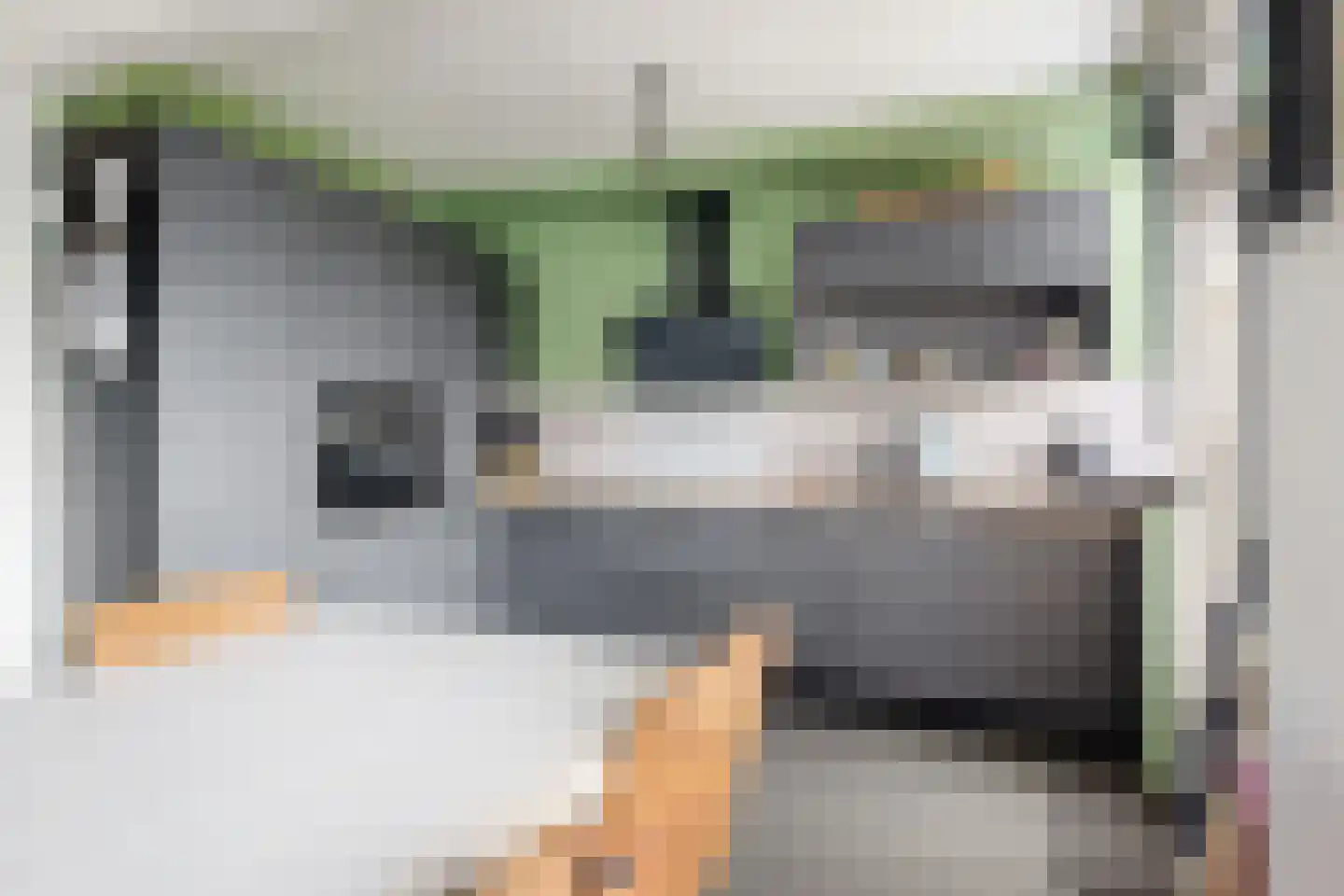 Amer 7 Zevenbergen thumbnail 23