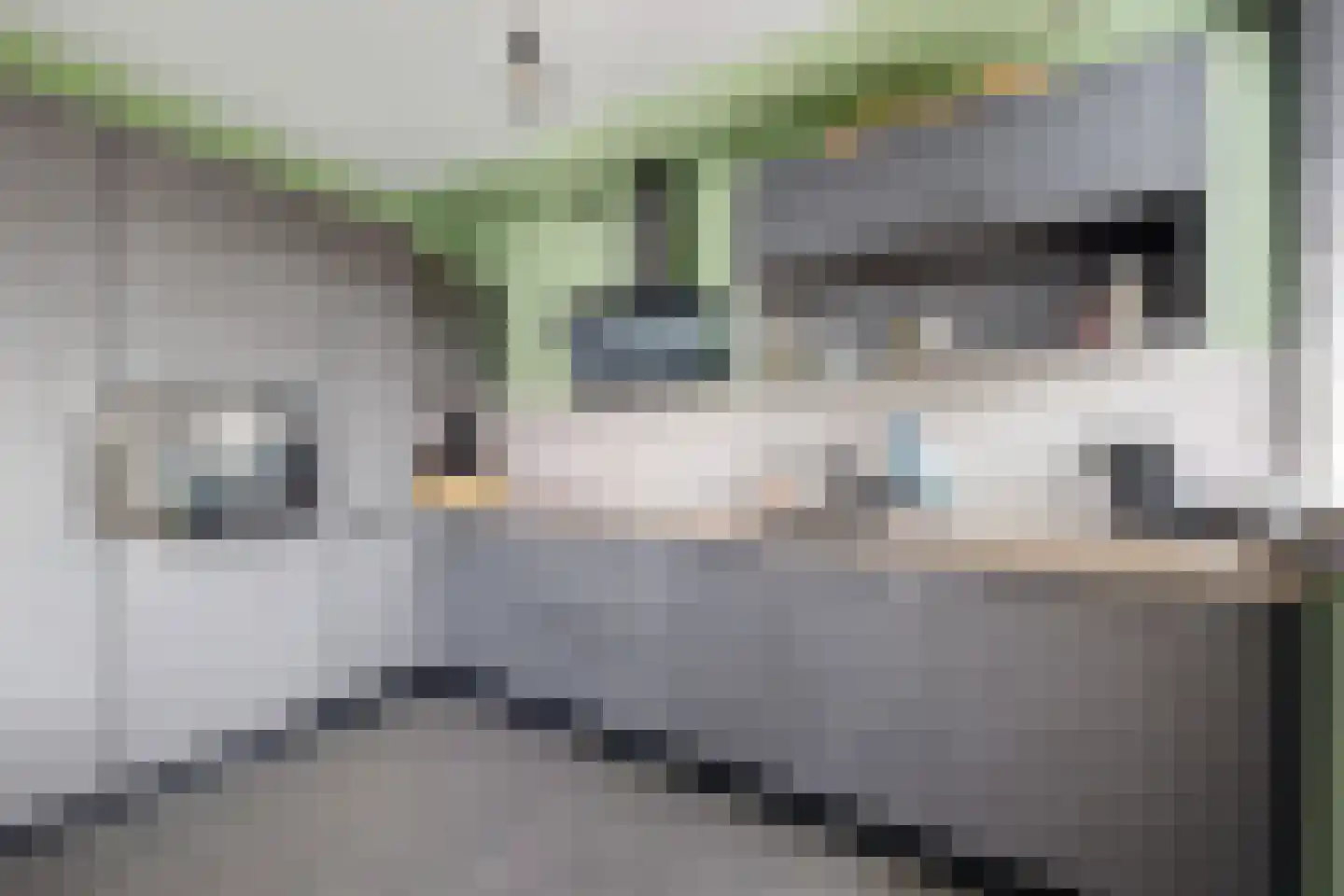 Amer 7 Zevenbergen thumbnail 24