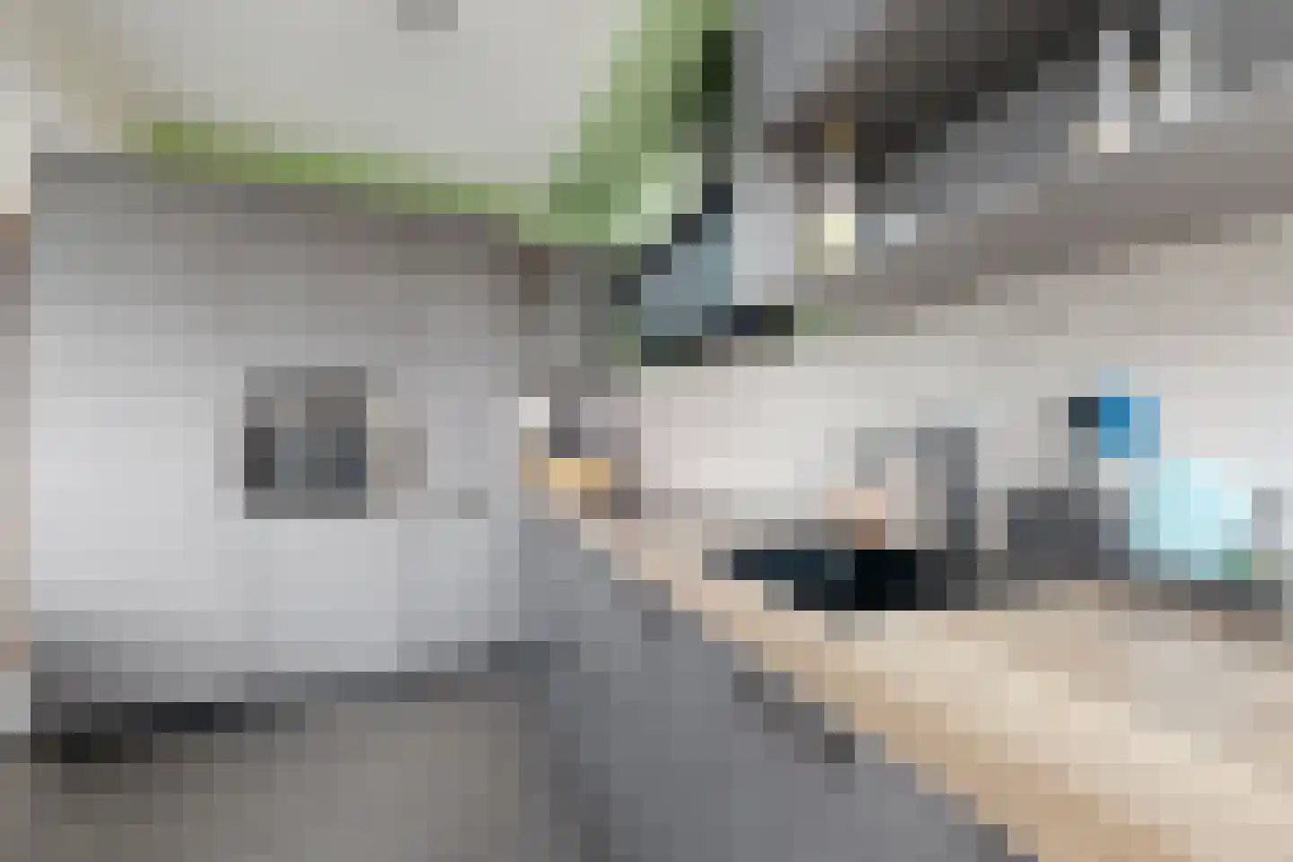 Amer 7 Zevenbergen thumbnail 25