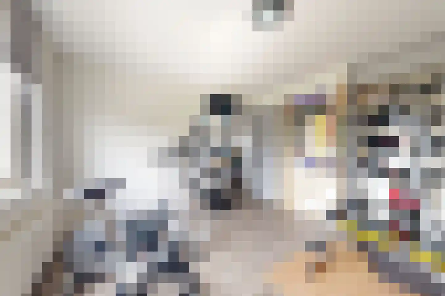 Amer 7 Zevenbergen thumbnail 38