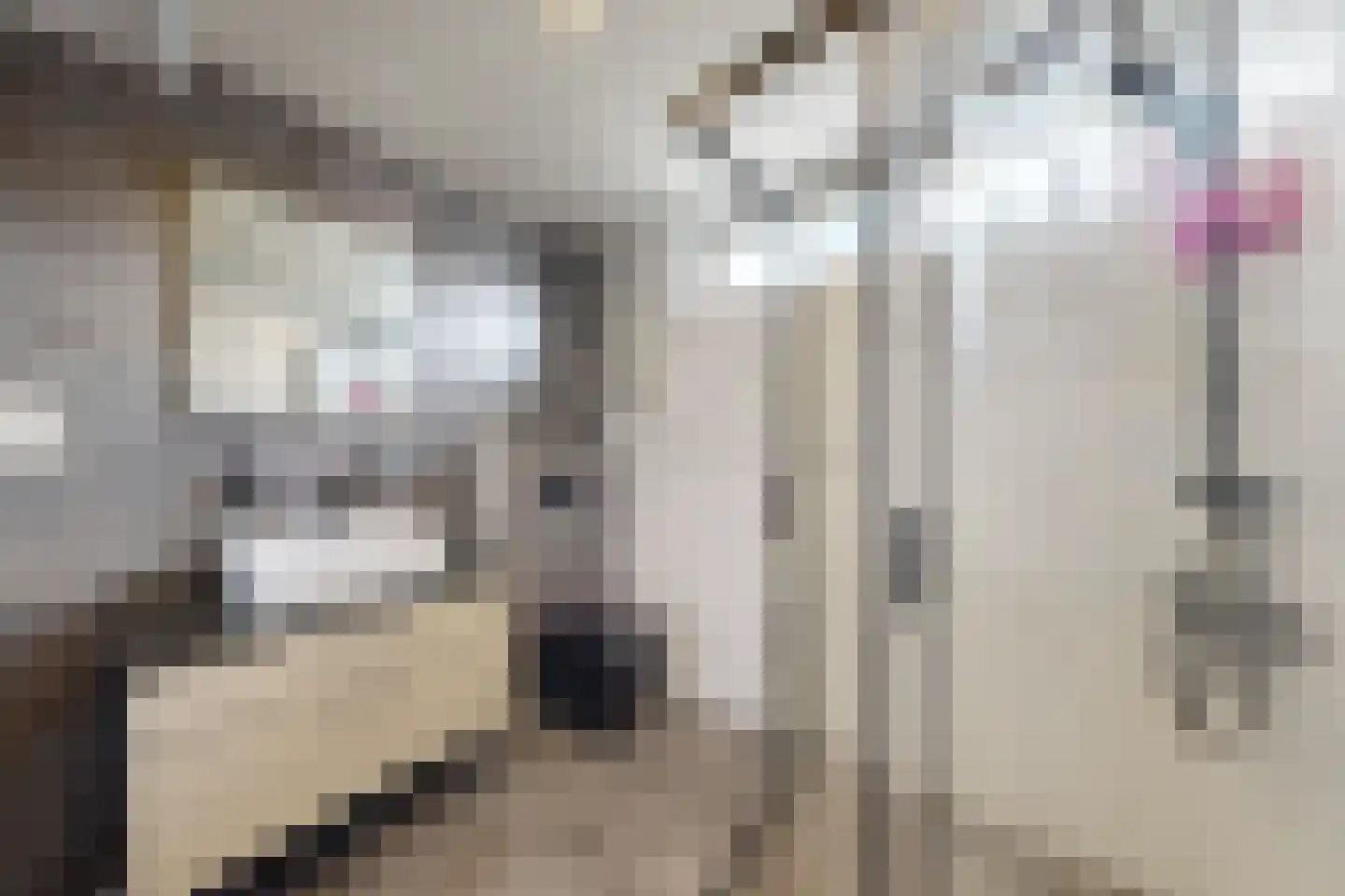 Amer 7 Zevenbergen thumbnail 40