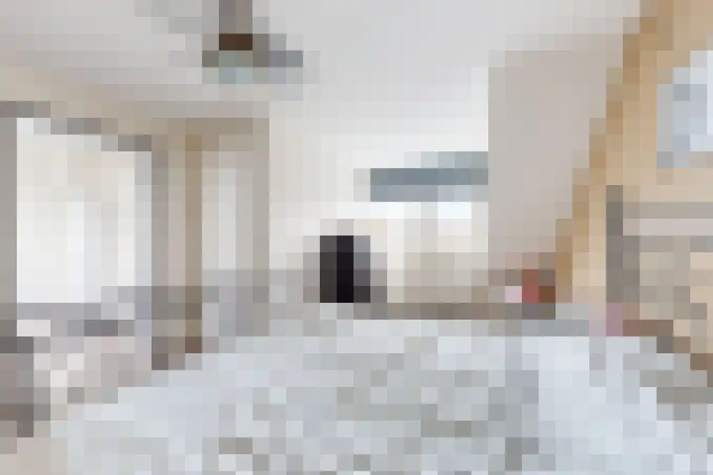 Amer 7 Zevenbergen thumbnail 50