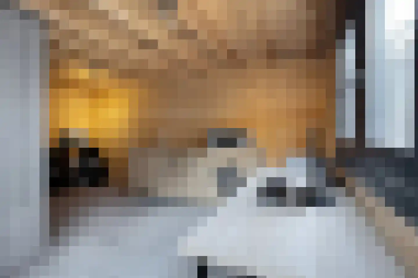 Amer 7 Zevenbergen thumbnail 58