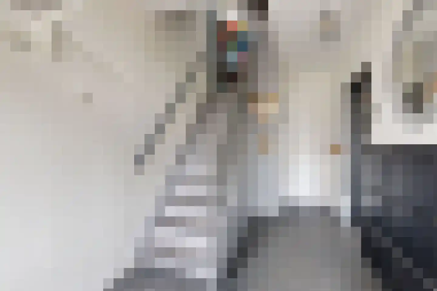 Amer 7 Zevenbergen thumbnail 8