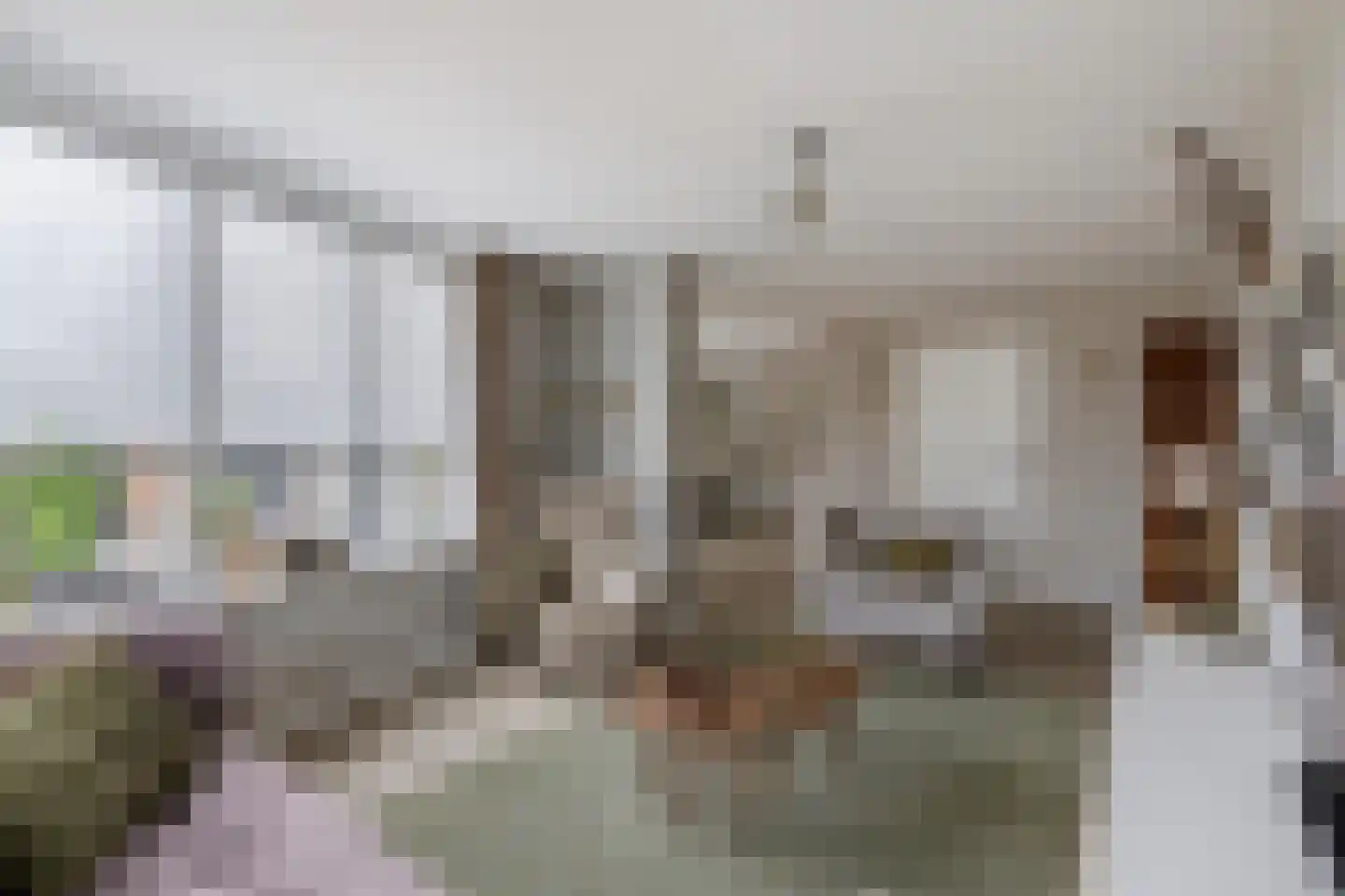 Amer 78 Brielle thumbnail 15