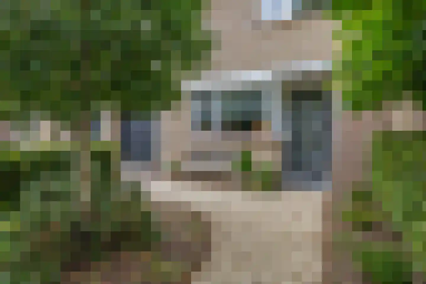 Amer 78 Brielle thumbnail 8