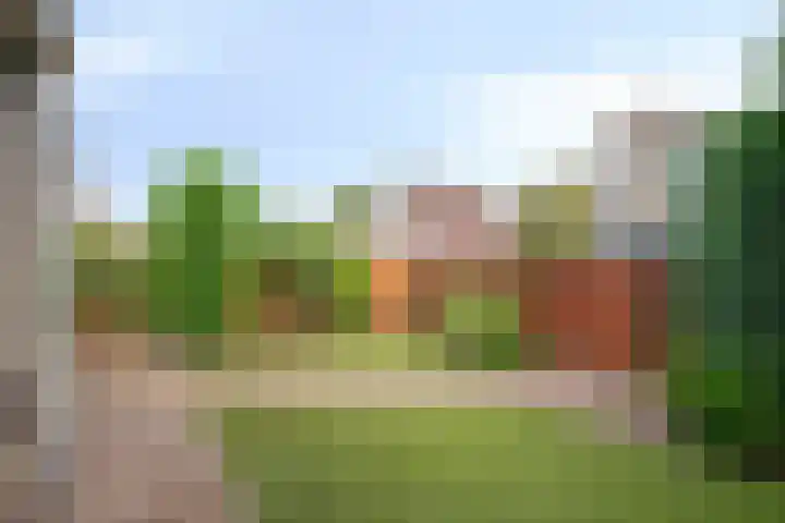 Amer 8 Helmond thumbnail 36