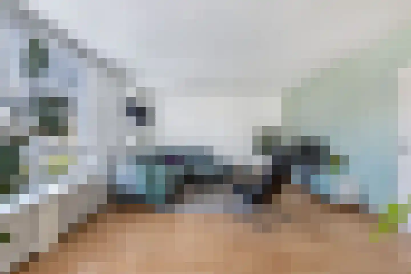 Amer 8 Huizen thumbnail 11