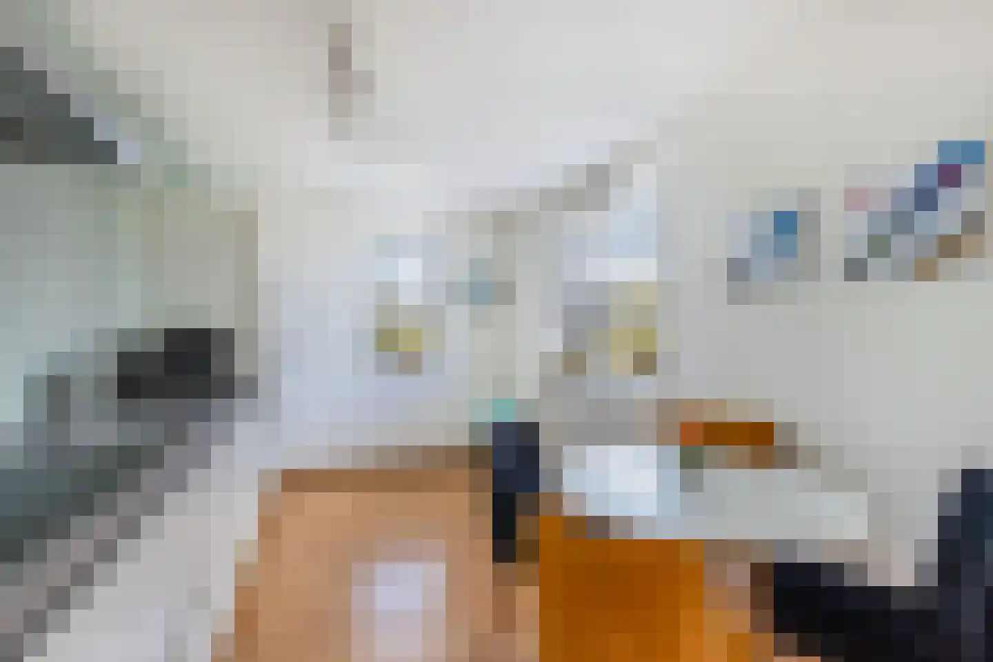 Amer 8 Huizen thumbnail 12