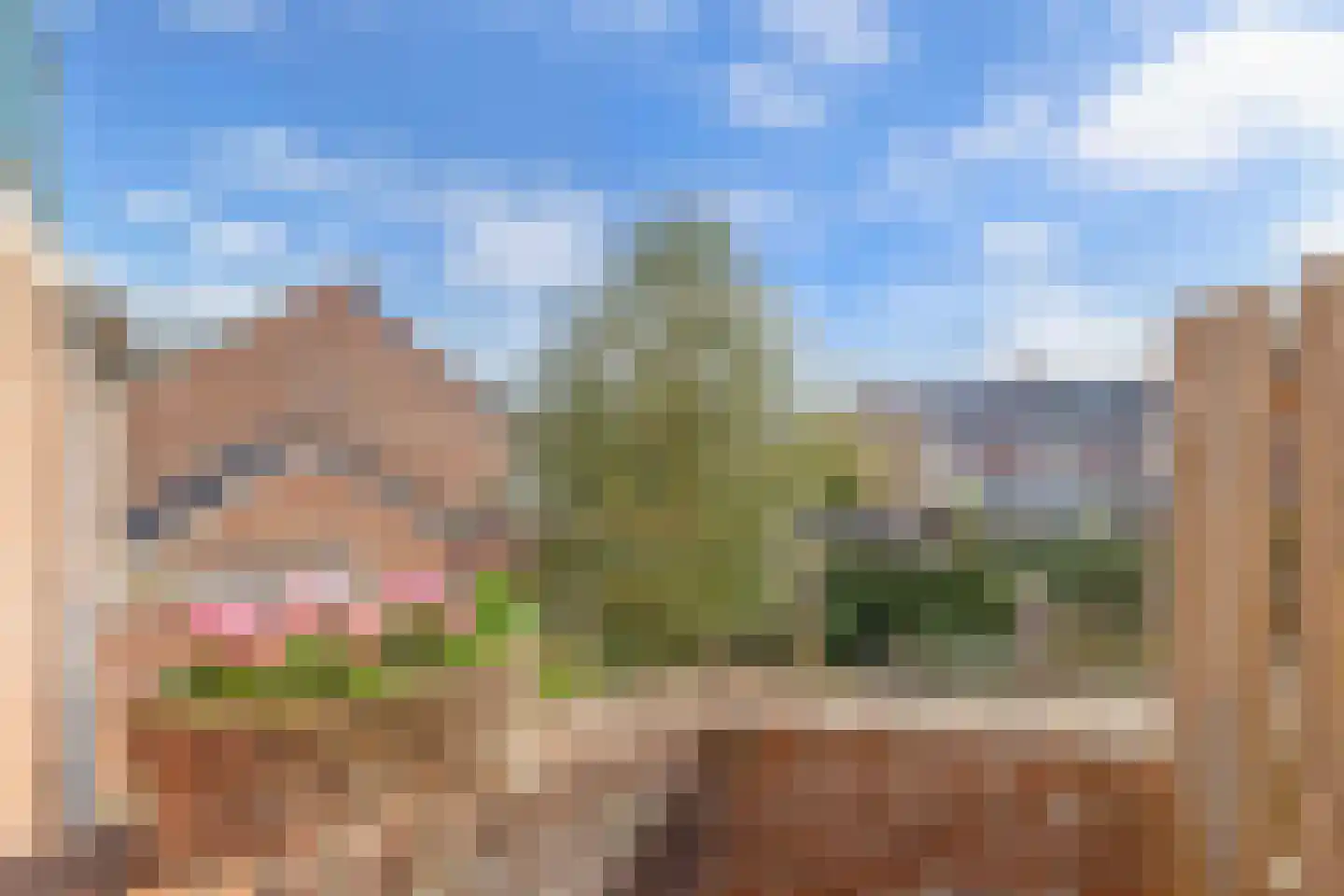 Amer 8 Huizen thumbnail 20