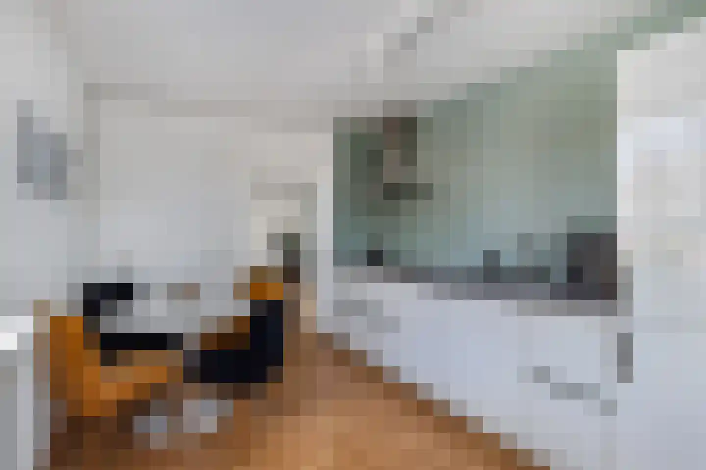 Amer 8 Huizen foto 3