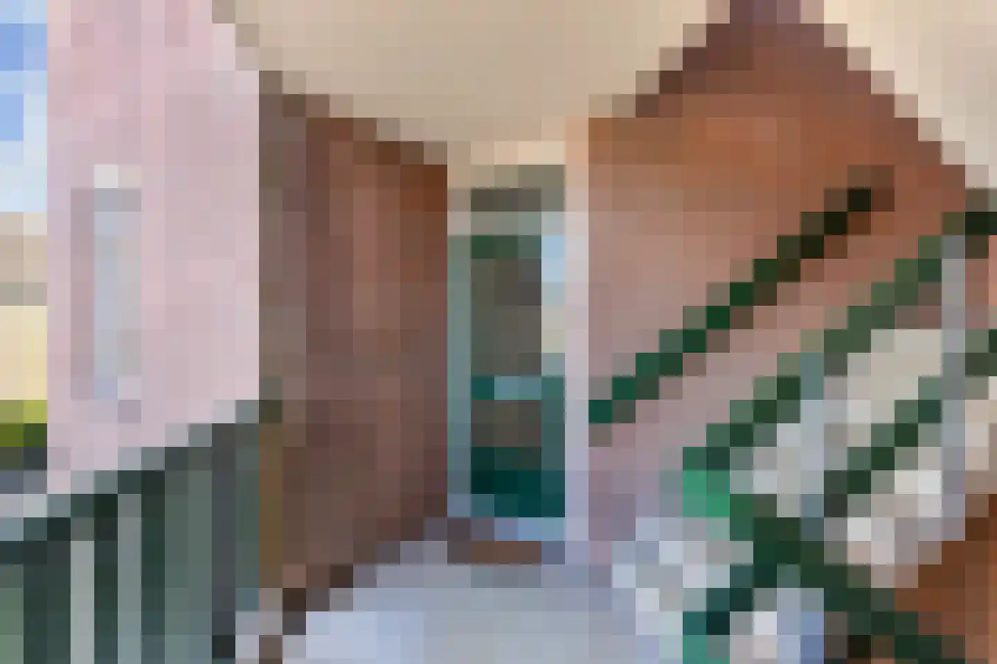 Amer 8 Huizen thumbnail 5