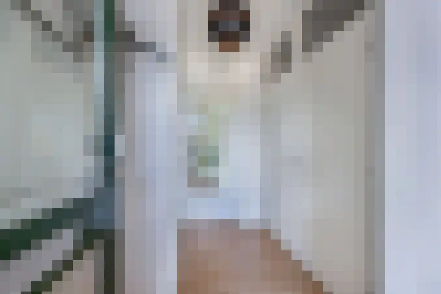 Amer 8 Huizen thumbnail 6