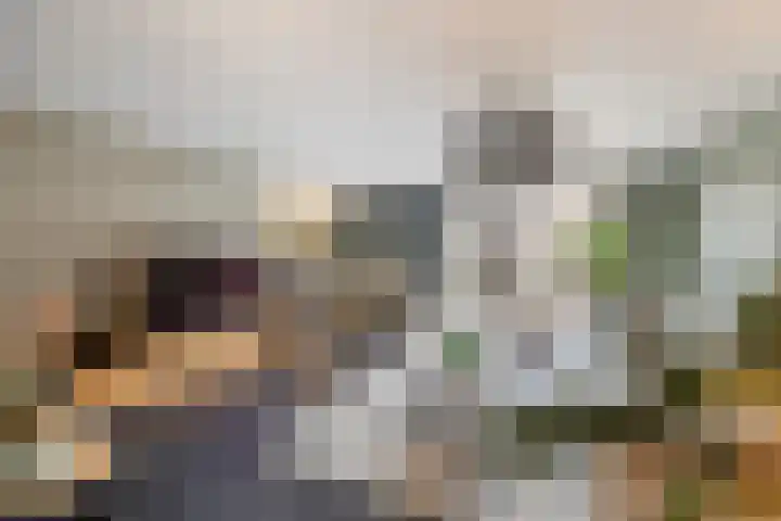 Amer 82 Brielle thumbnail 12