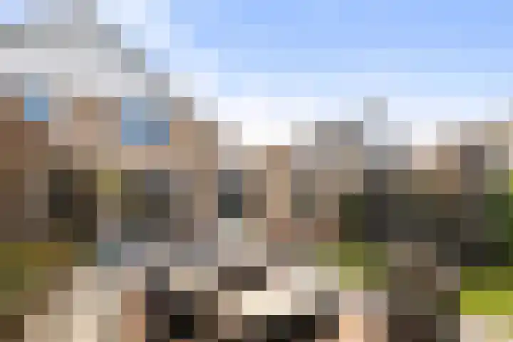 Amer 82 Brielle foto 2