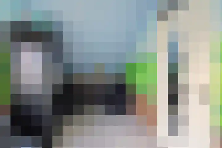 Amer 82 Brielle thumbnail 23