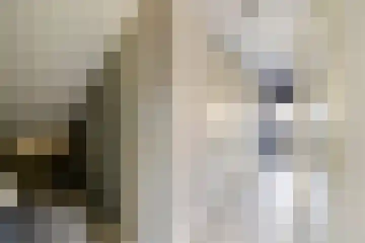 Amer 82 Brielle thumbnail 25