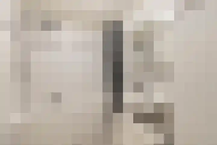 Amer 82 Brielle thumbnail 29