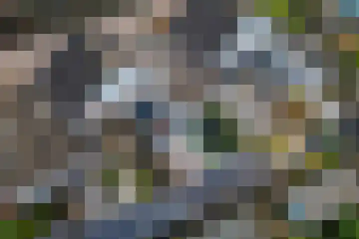 Amer 82 Brielle foto 3