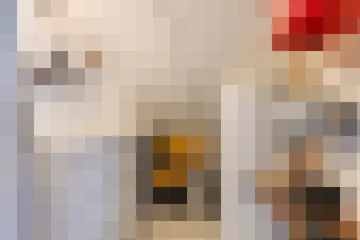 Amer 82 Brielle thumbnail 31