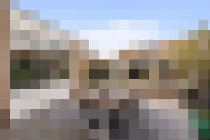 Amer 82 Brielle thumbnail 32