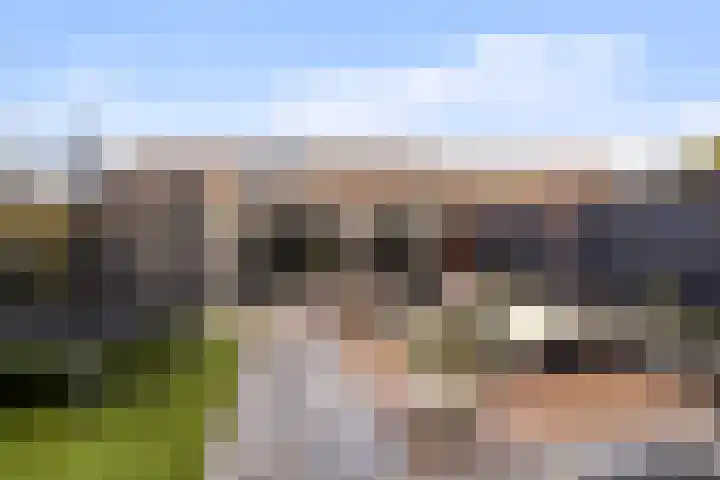 Amer 82 Brielle thumbnail 33