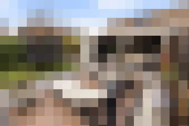 Amer 82 Brielle thumbnail 34