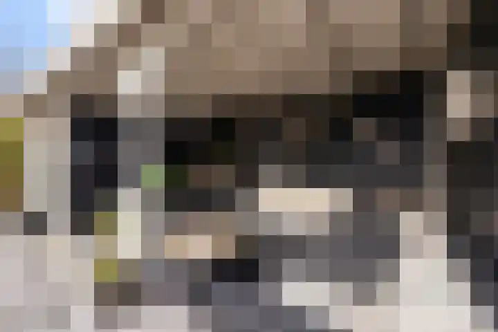 Amer 82 Brielle thumbnail 36