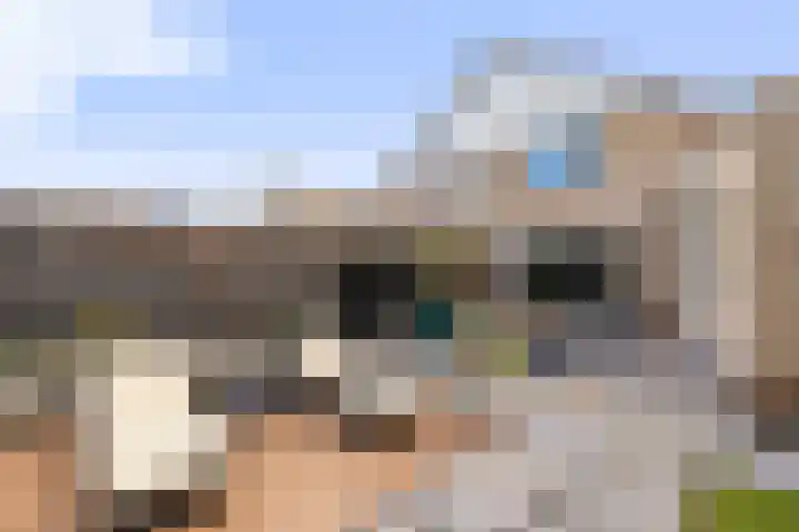 Amer 82 Brielle thumbnail 37