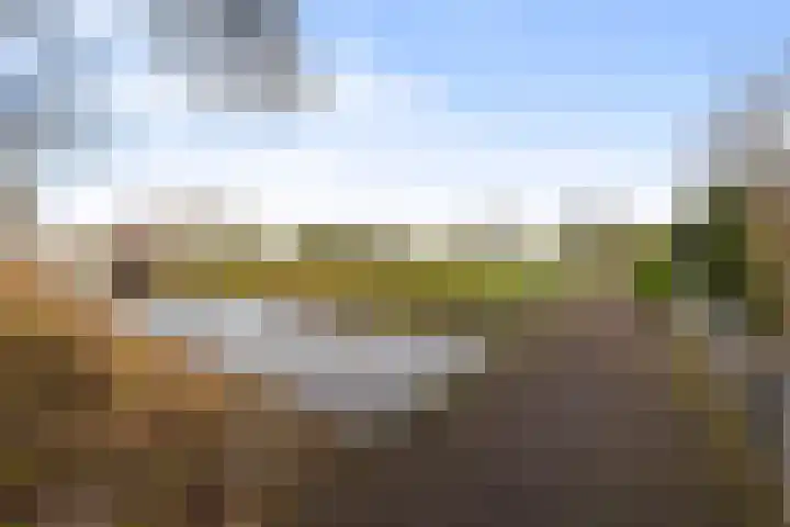 Amer 82 Brielle thumbnail 41