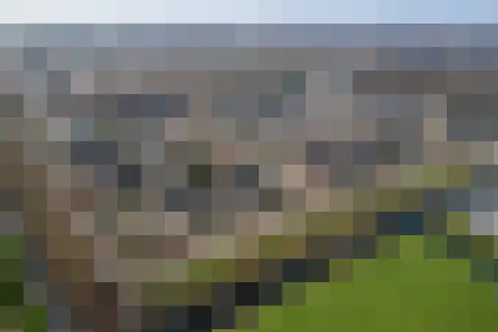 Amer 82 Brielle thumbnail 43