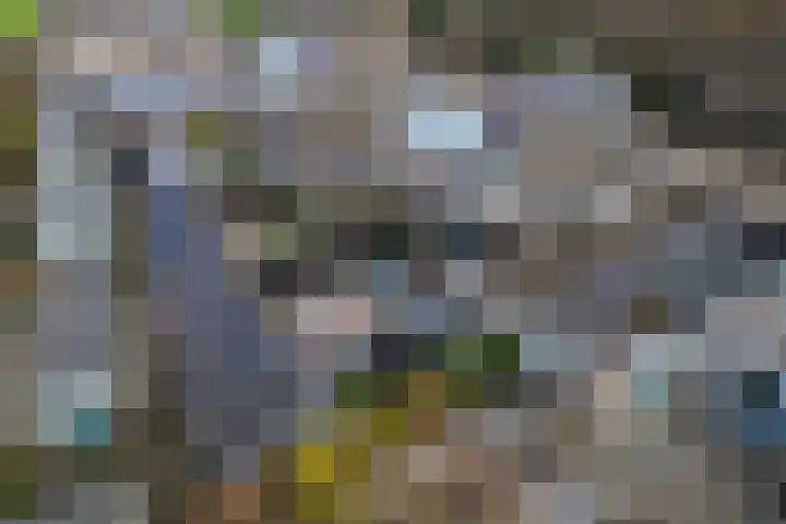 Amer 82 Brielle thumbnail 45