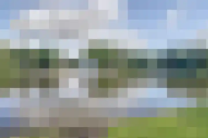 Amer 82 Brielle thumbnail 46