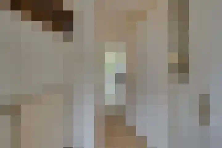 Amer 82 Brielle thumbnail 47