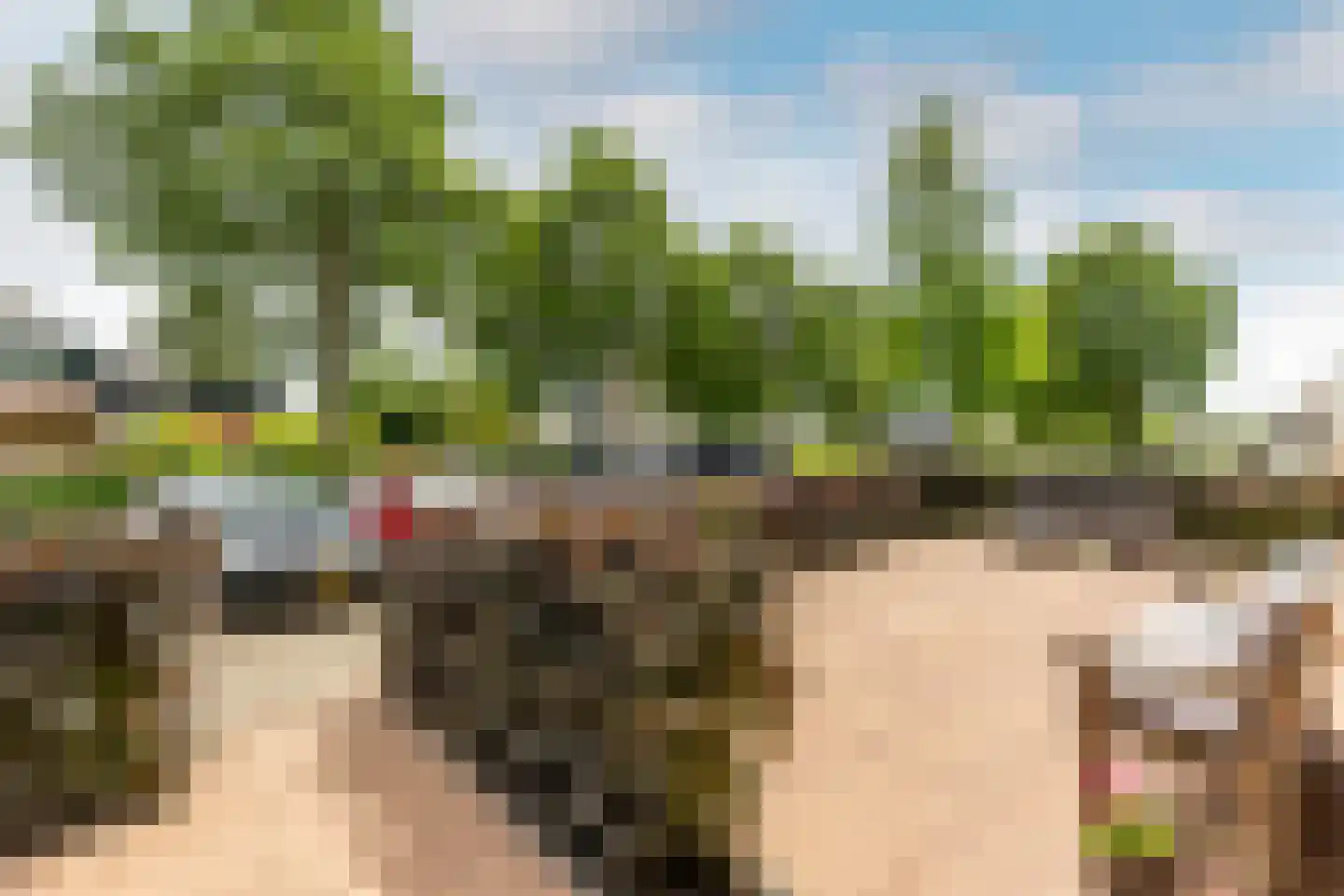 Amer 88 Brielle thumbnail 41