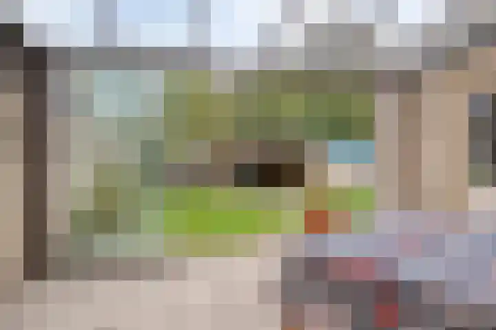 Amer 90 a Deurne thumbnail 21