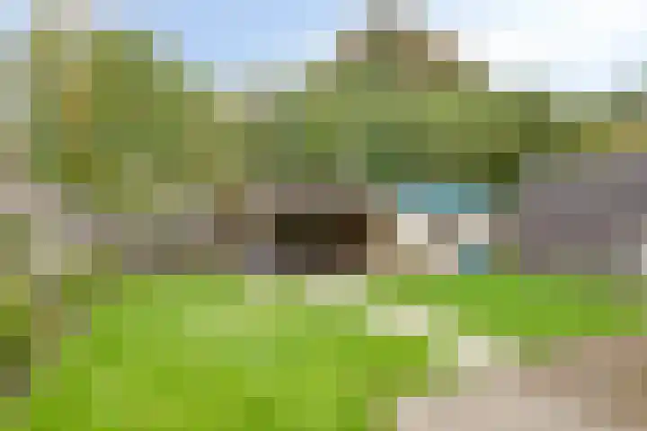 Amer 90 a Deurne thumbnail 22