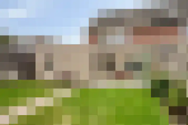 Amer 90 a Deurne thumbnail 25