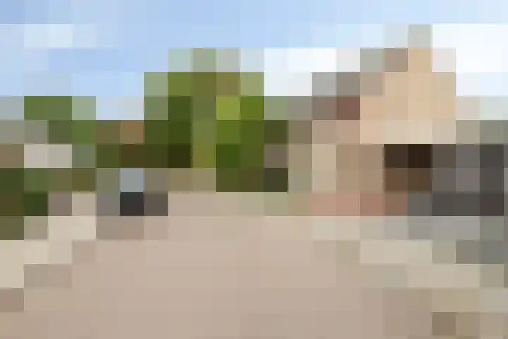 Amer 90 a Deurne thumbnail 5