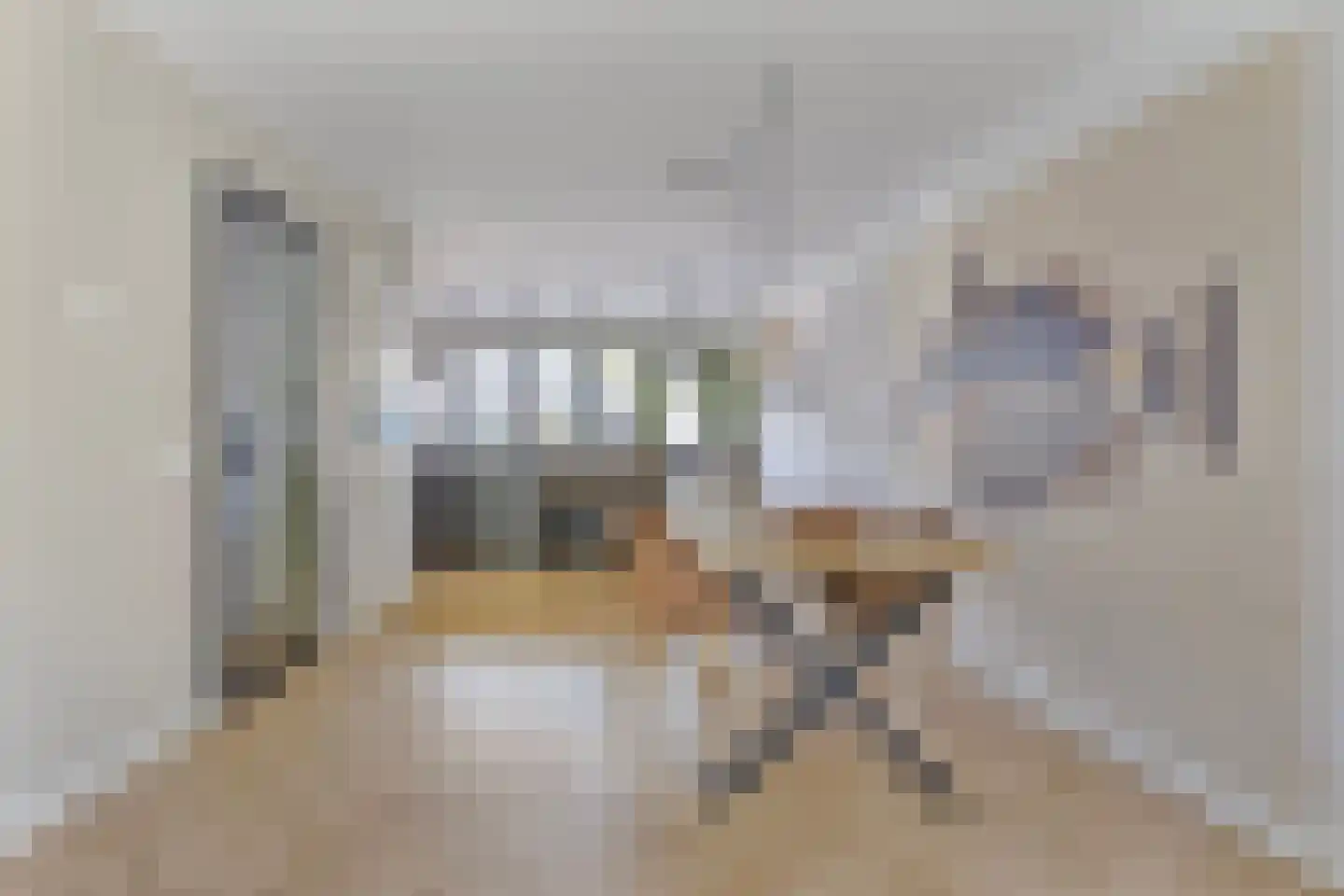 Amerbachstraat 5 Rotterdam thumbnail 12