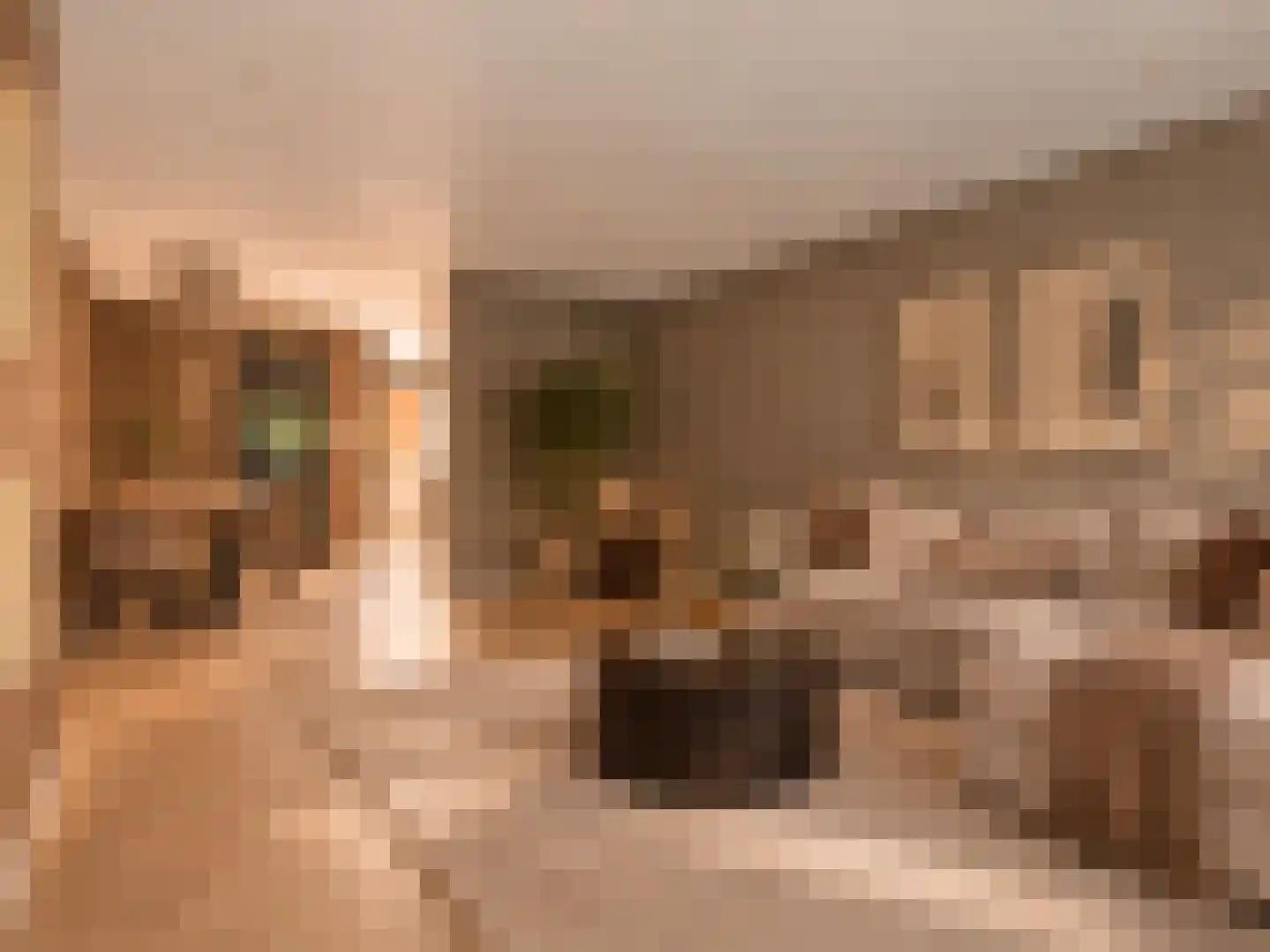 Amerbos 156 Amsterdam thumbnail 12